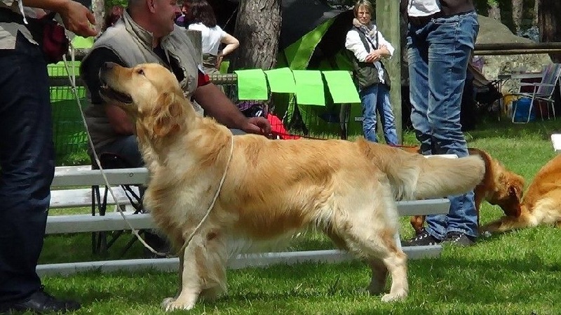 TR. Follow me stanley de l'Orfillec - 1er Exc