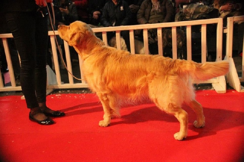 TR. Follow me stanley de l'Orfillec - 1er Exc