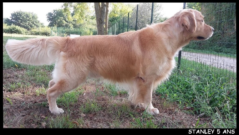 TR. Follow me stanley de l'Orfillec - 2èùe Exc, RCACIB, RCACS