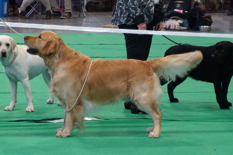 TR. Follow me stanley de l'Orfillec - 2ème Exc