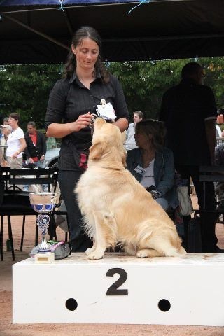 TR. Follow me stanley de l'Orfillec - 1er EXC, CACS, BOB et 2ème du BOG