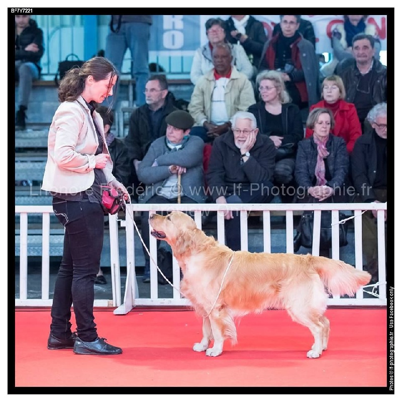 TR. Follow me stanley de l'Orfillec - 1er Exc