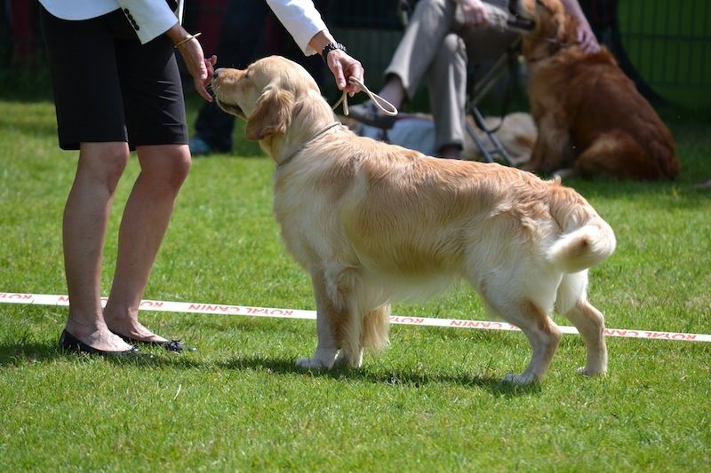 TR. Follow me stanley de l'Orfillec - 2ème Exc