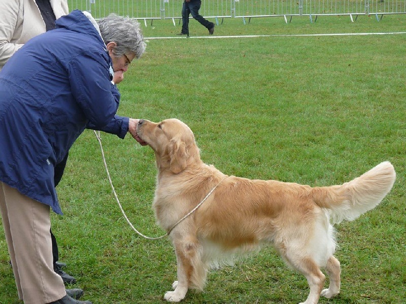 TR. Follow me stanley de l'Orfillec - Exc non classé