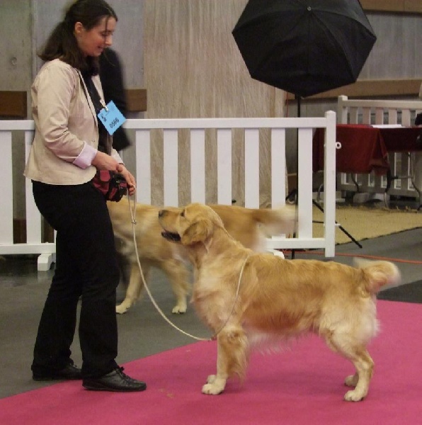 TR. Follow me stanley de l'Orfillec - 1 er de la classe travail !