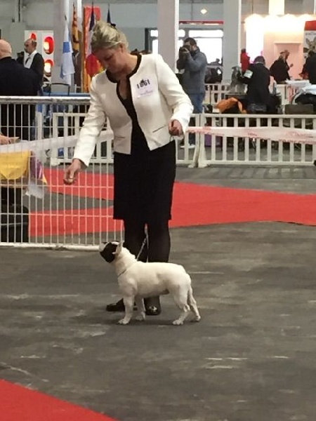 La diva du laouvas