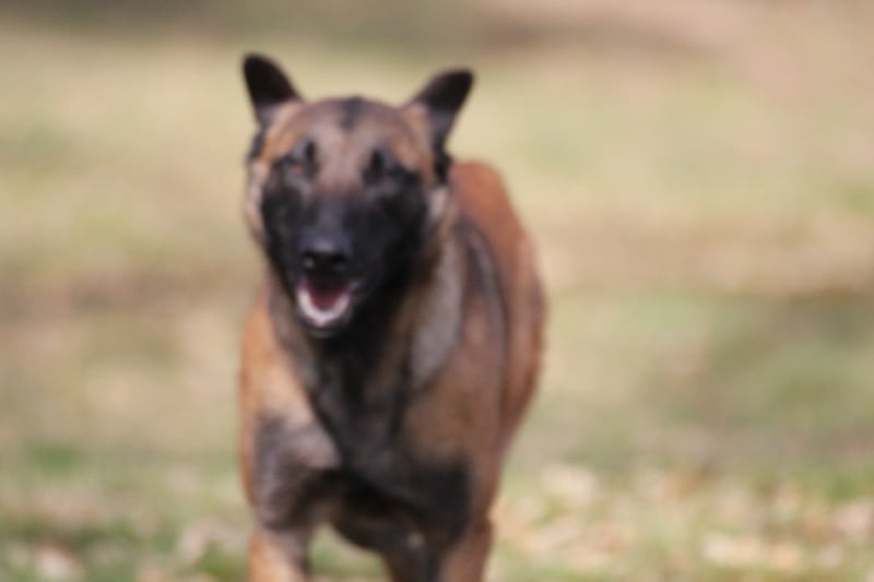 Publication : Des anges gardiens de la grace