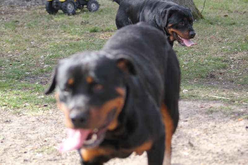 Publication : Des anges gardiens de la grace