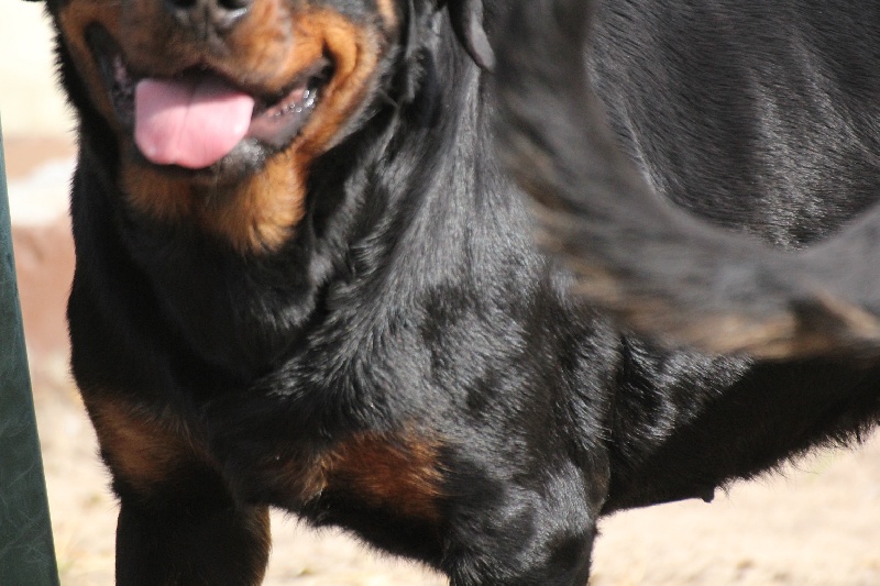 Publication : Des anges gardiens de la grace