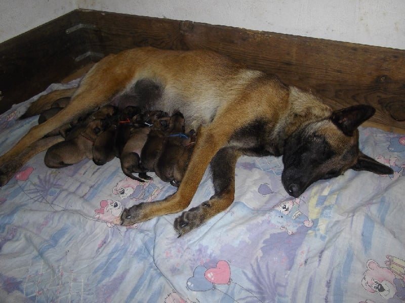 Publication : Des anges gardiens de la grace