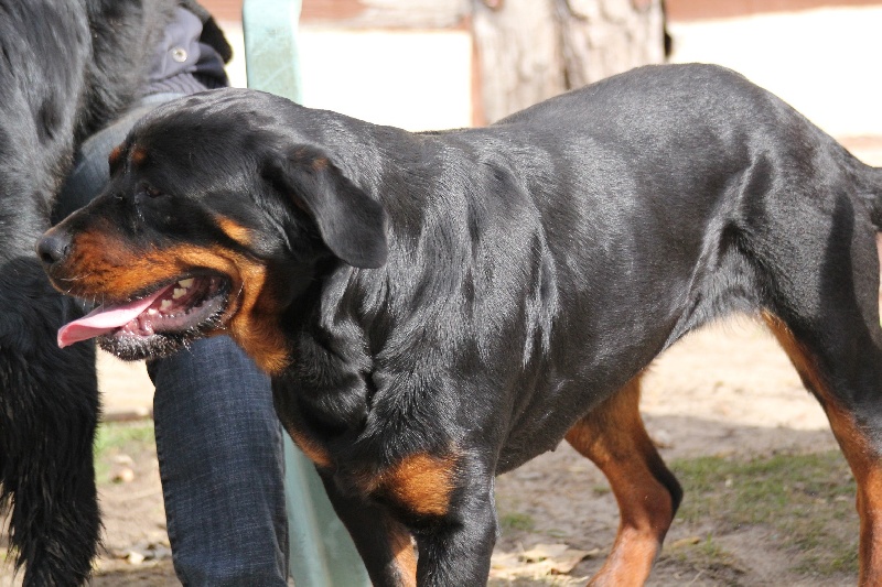 Publication : Des anges gardiens de la grace