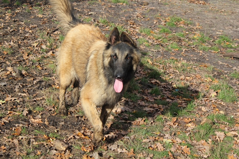 Publication : Des anges gardiens de la grace