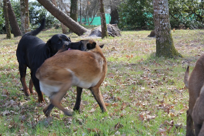 Publication : Des anges gardiens de la grace Auteur : Karen TOUBIANA