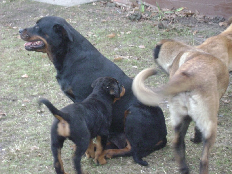 Publication : Des anges gardiens de la grace