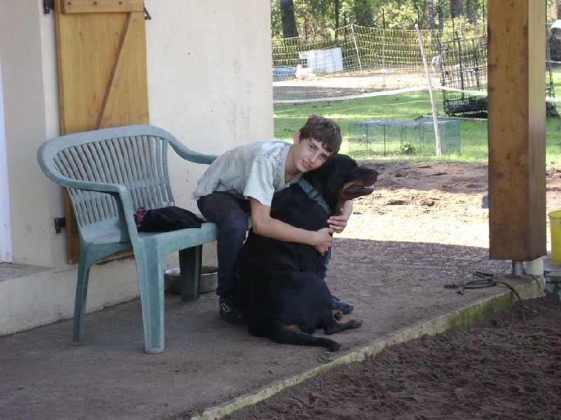 Publication : Des anges gardiens de la grace Auteur : Karen TOUBIANA
