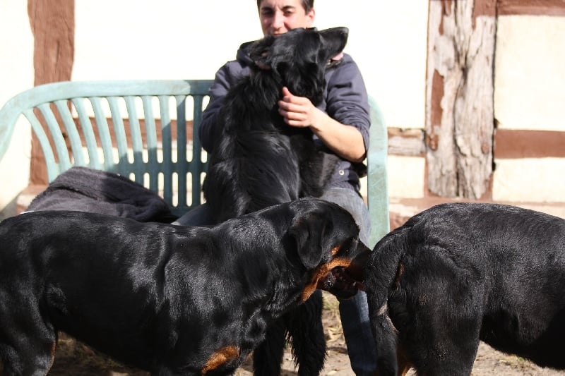 Publication : Des anges gardiens de la grace