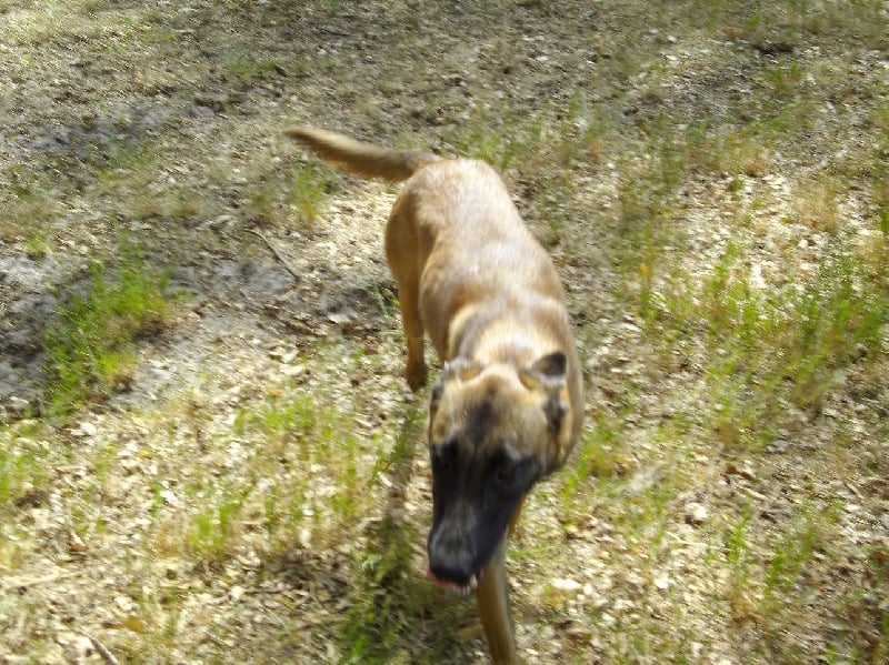 Publication : Des anges gardiens de la grace