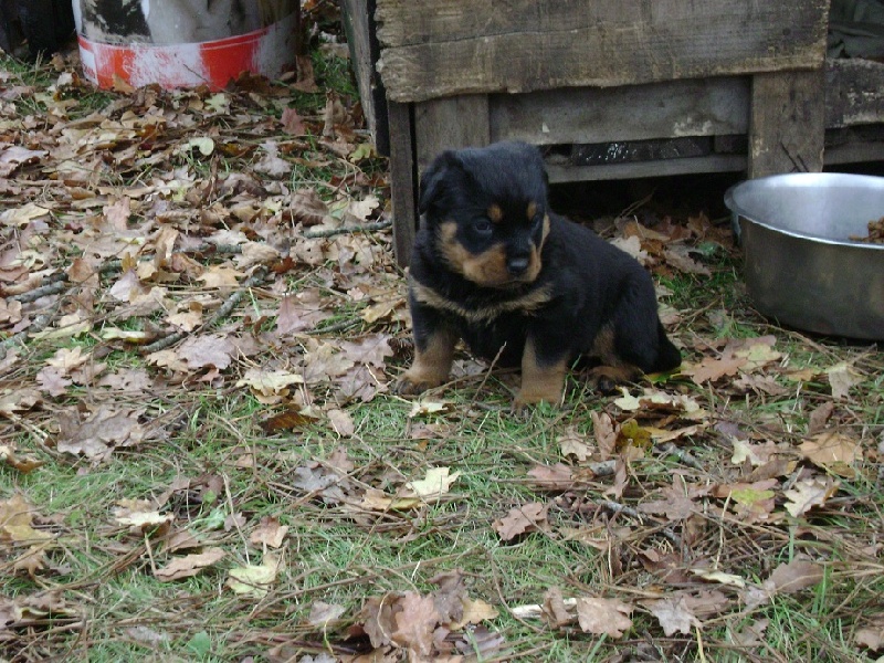 Publication : Des anges gardiens de la grace