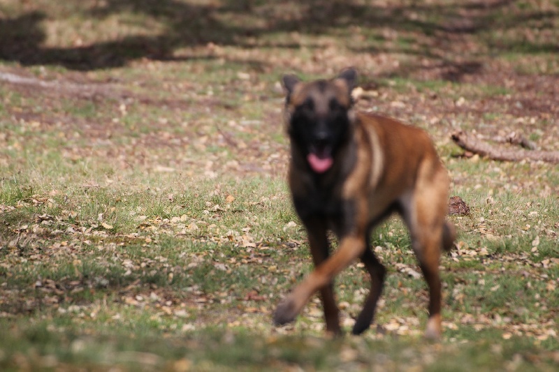Publication : Des anges gardiens de la grace