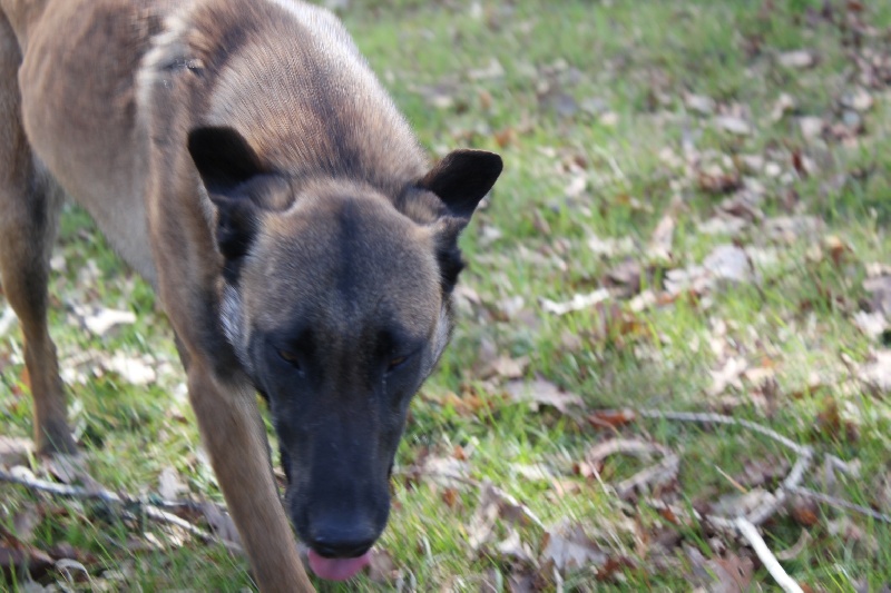 Publication : Des anges gardiens de la grace