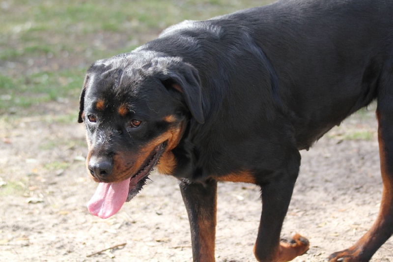 Publication : Des anges gardiens de la grace