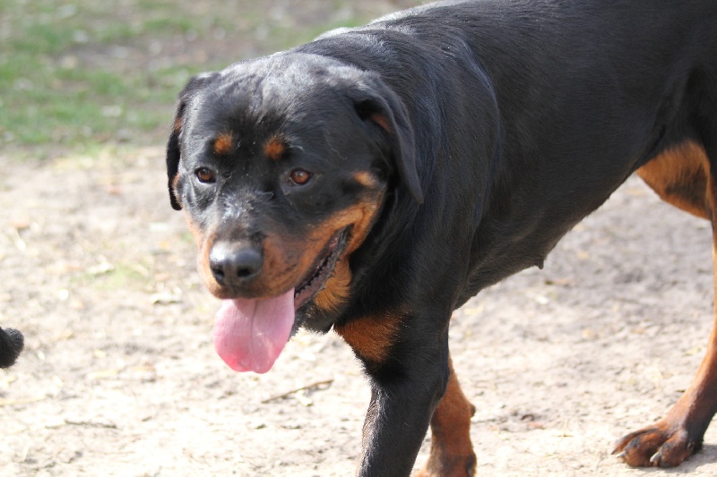 Publication : Des anges gardiens de la grace