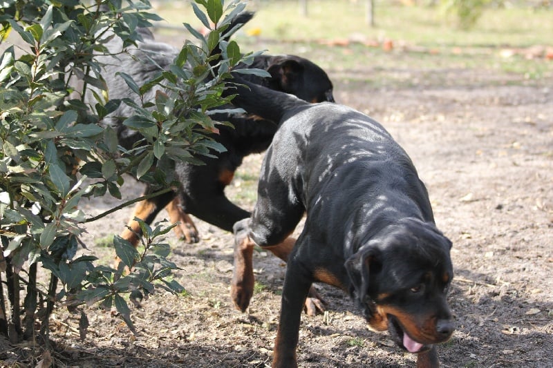 Publication : Des anges gardiens de la grace