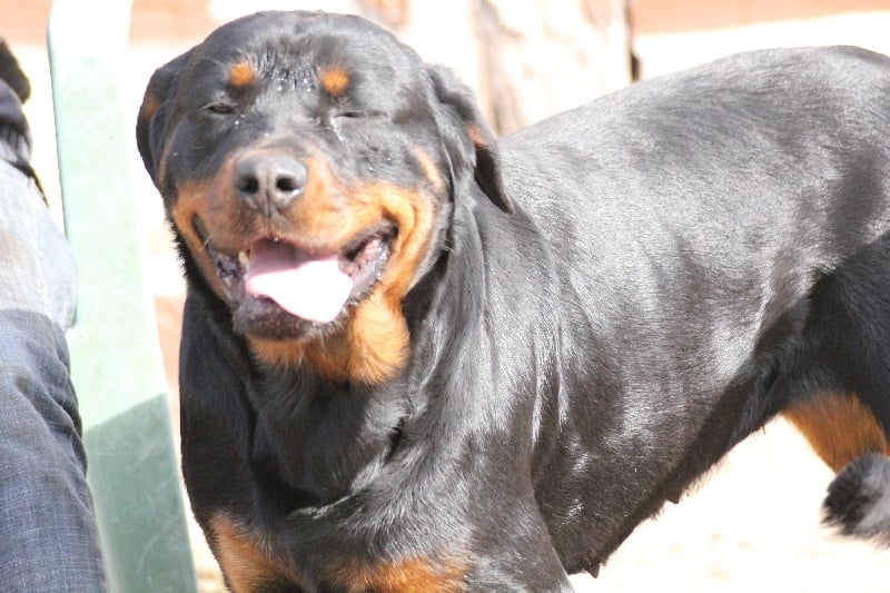 Publication : Des anges gardiens de la grace