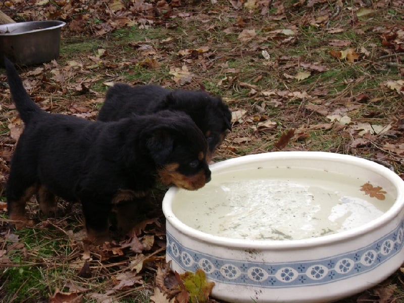 Publication : Des anges gardiens de la grace