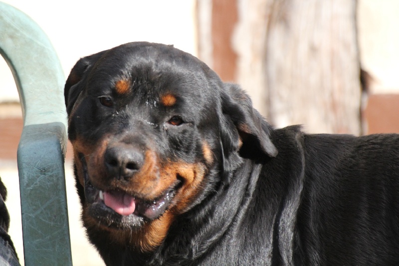 Publication : Des anges gardiens de la grace