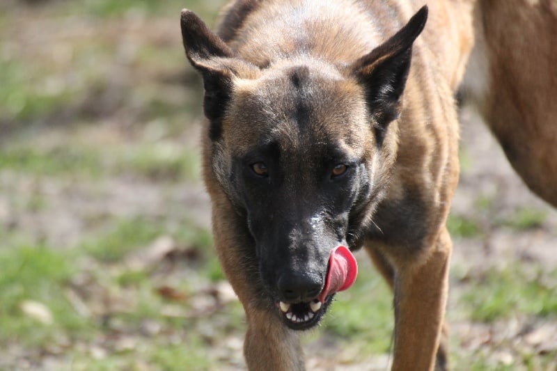 Publication : Des anges gardiens de la grace