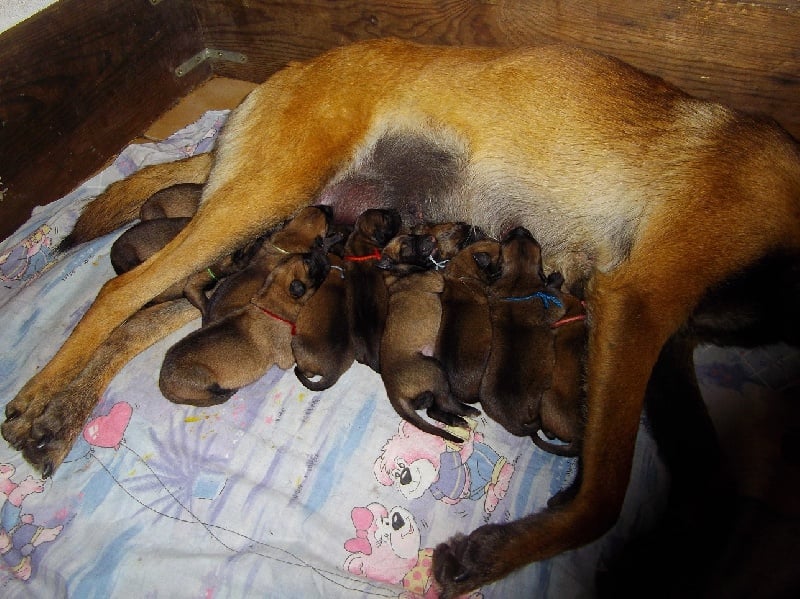 Publication : Des anges gardiens de la grace