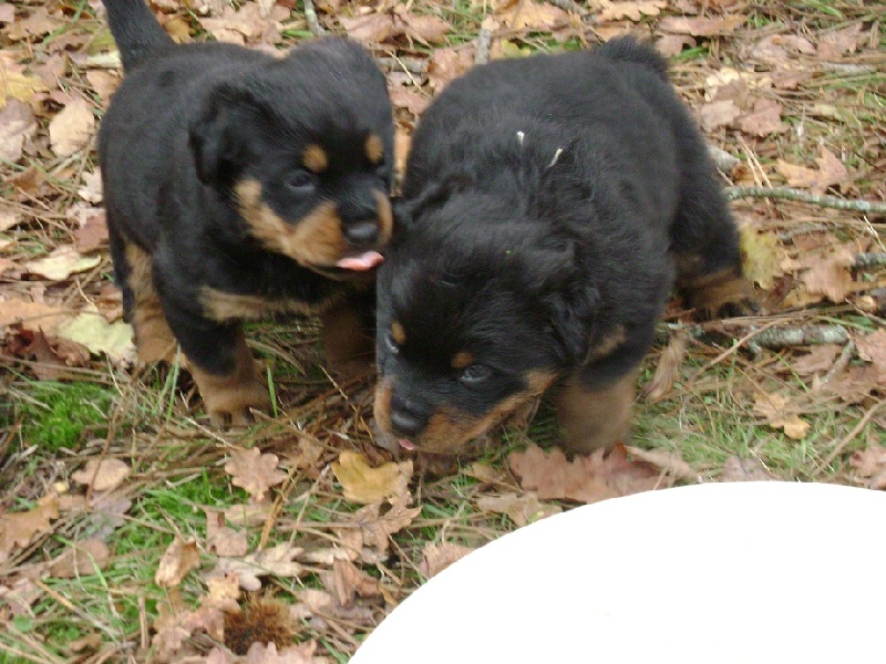 Publication : Des anges gardiens de la grace