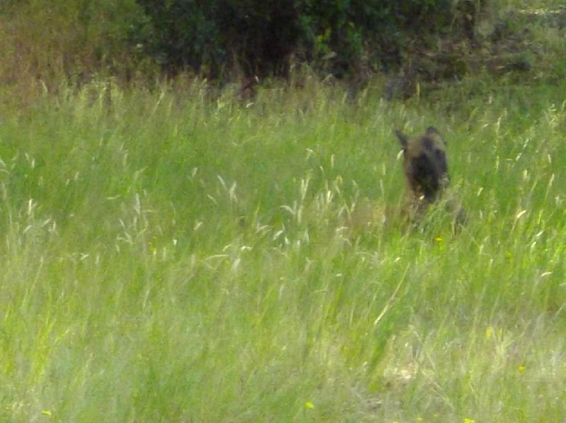 Publication : Des anges gardiens de la grace