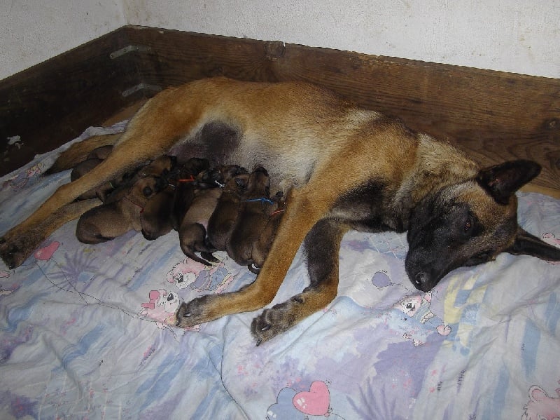 Publication : Des anges gardiens de la grace