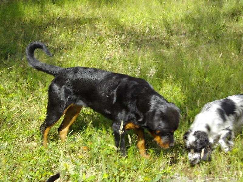 Publication : Des anges gardiens de la grace