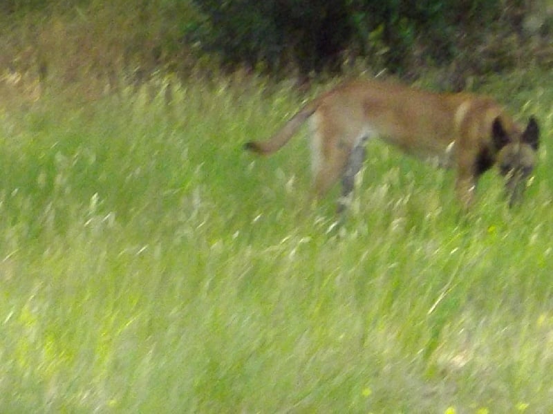 Publication : Des anges gardiens de la grace
