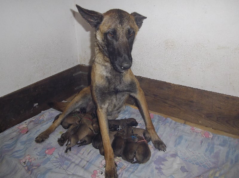 Publication : Des anges gardiens de la grace