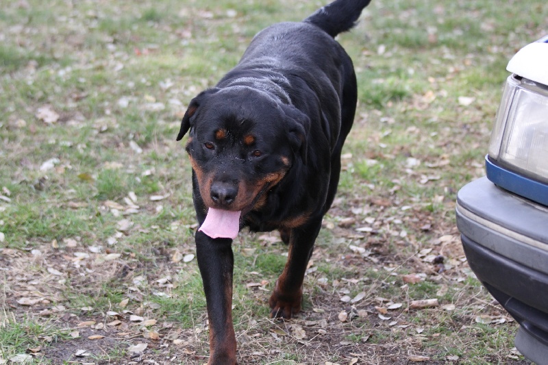 Publication : Des anges gardiens de la grace