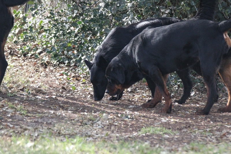 Publication : Des anges gardiens de la grace