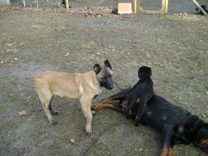 Publication : Des anges gardiens de la grace