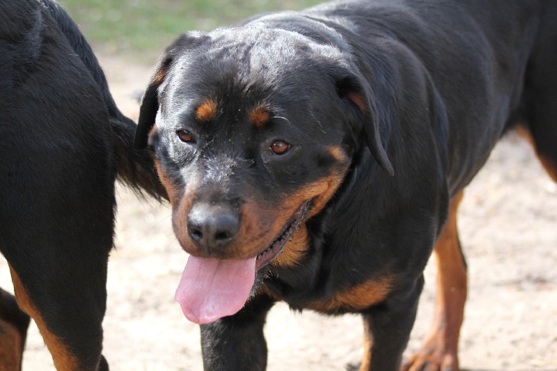 Publication : Des anges gardiens de la grace