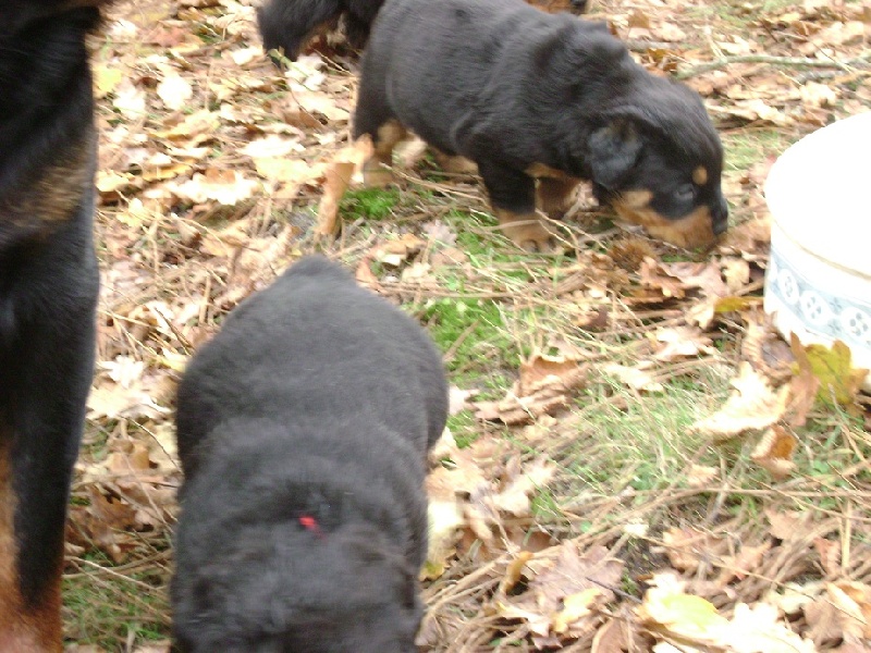 Publication : Des anges gardiens de la grace