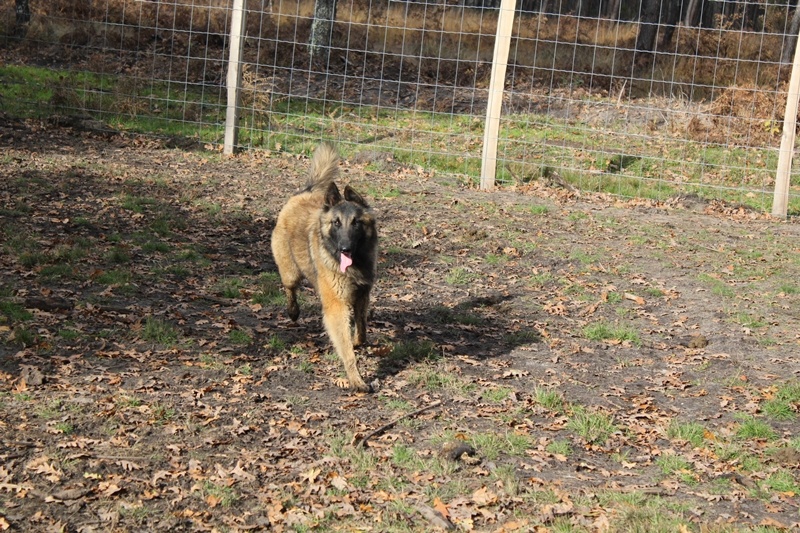 Publication : Des anges gardiens de la grace