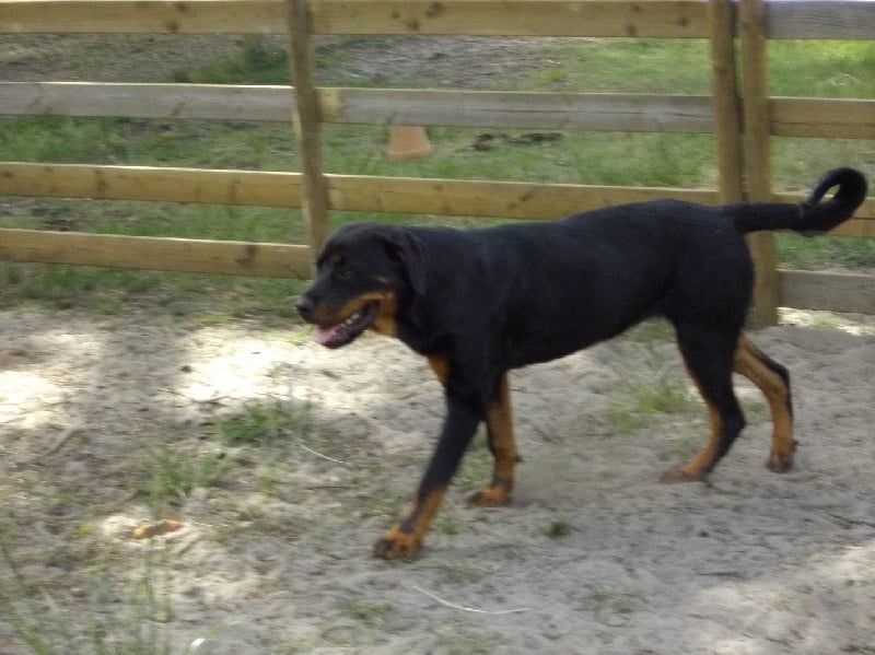 Publication : Des anges gardiens de la grace