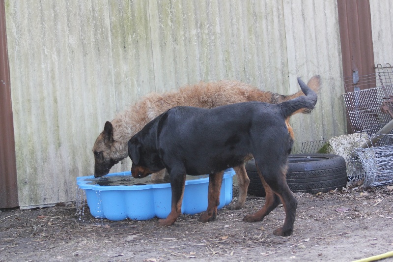 Publication : Des anges gardiens de la grace