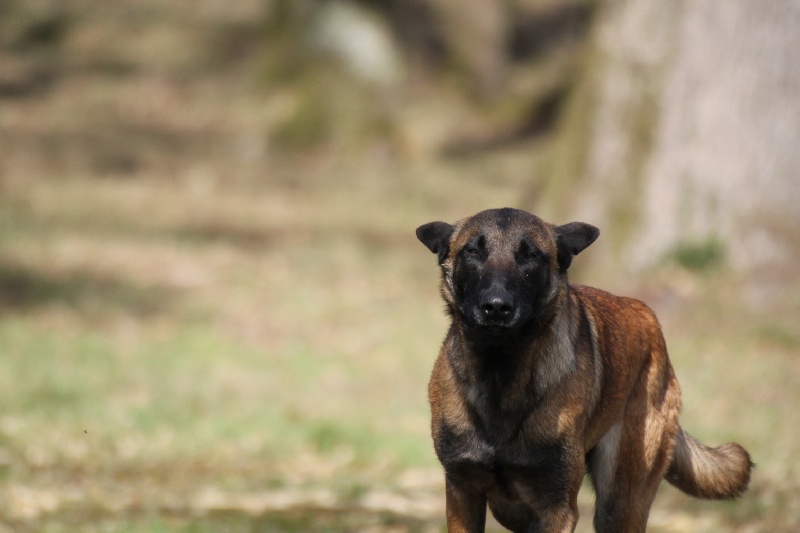 Publication : Des anges gardiens de la grace