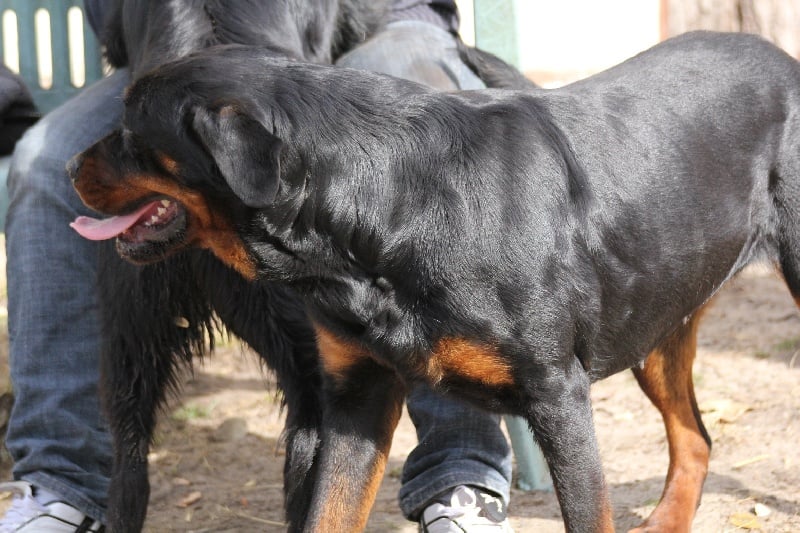 Publication : Des anges gardiens de la grace