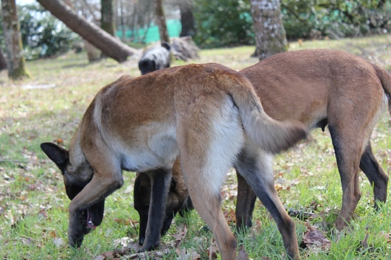 Publication : Des anges gardiens de la grace