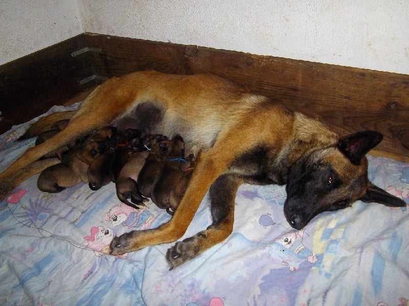 Publication : Des anges gardiens de la grace